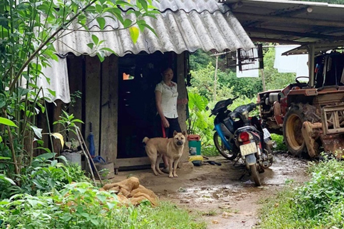 Vàng khi còn ở Hà Giang. Ảnh: NVCC