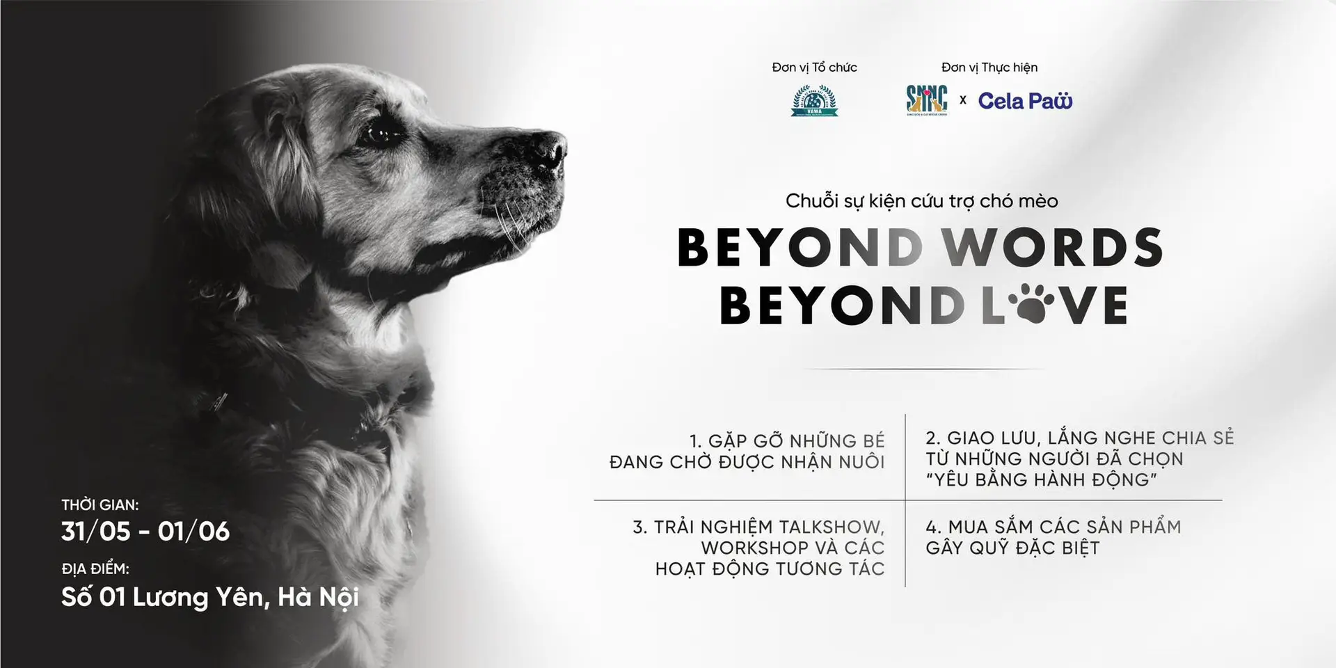 Read more about the article Dự án nâng cao nhận thức về bảo vệ và nhận nuôi thú cưng