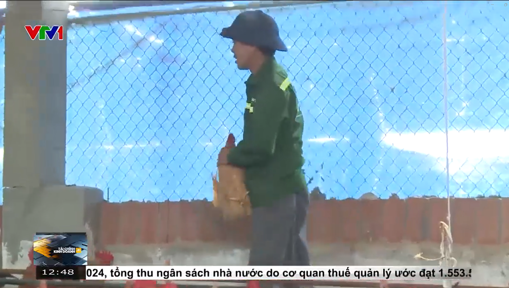 Read more about the article Việt Nam lần đầu bán tín chỉ gà đẻ không nhốt lồng