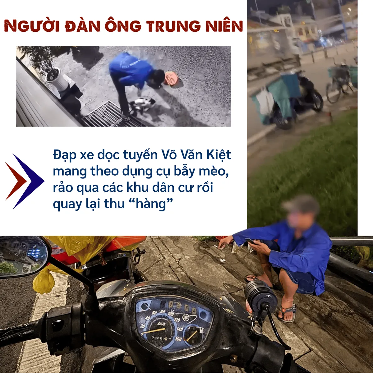 mèo tặc (2).png