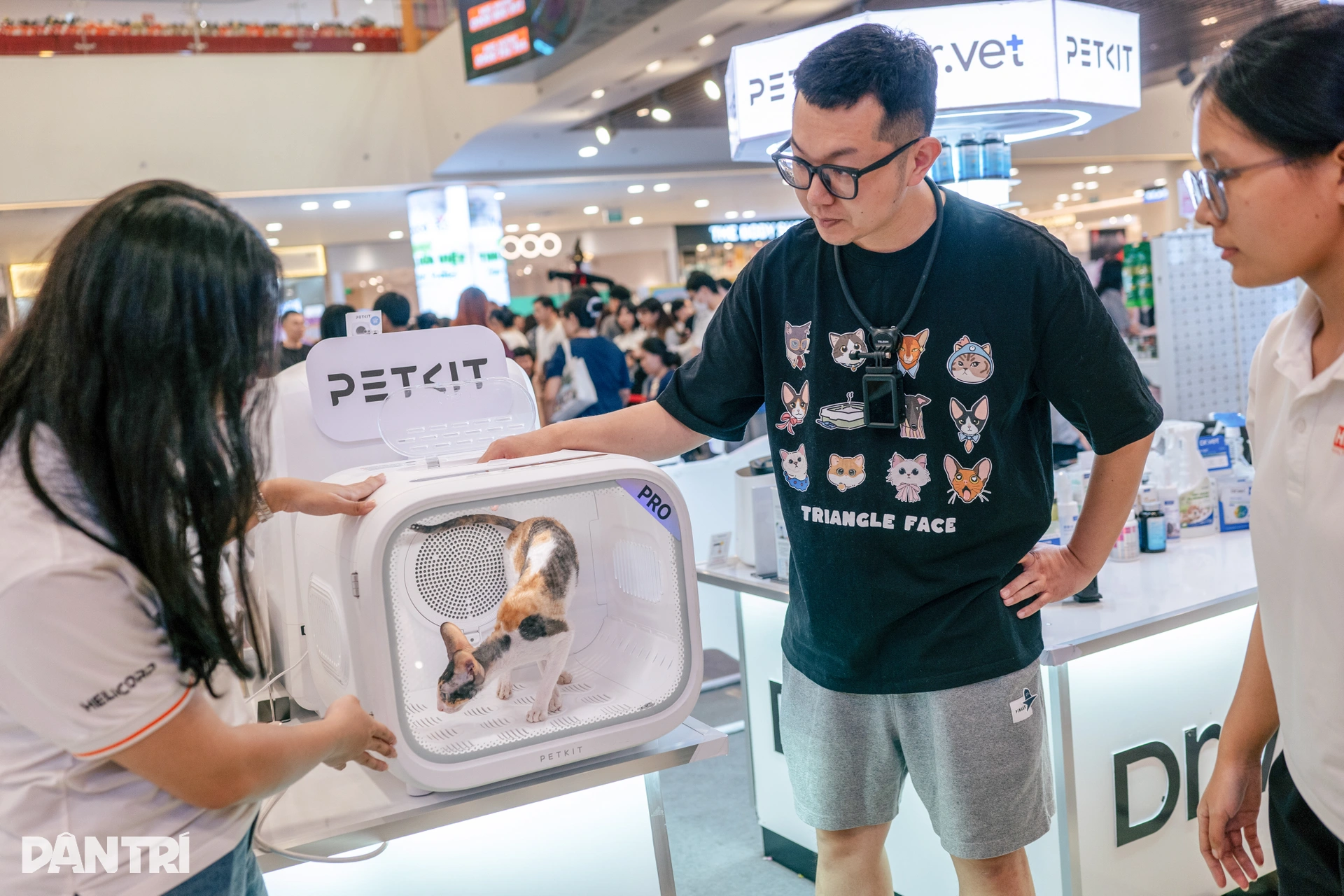 Chú mèo Philippines vượt 120 đối thủ, giành ngôi Hoa hậu mèo quốc tế 2025 - 2