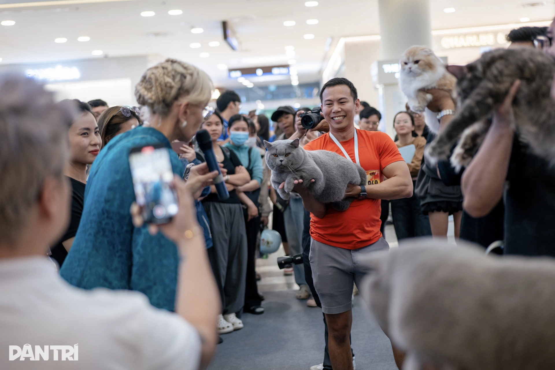 Chú mèo Philippines vượt 120 đối thủ, giành ngôi Hoa hậu mèo quốc tế 2025 - 2