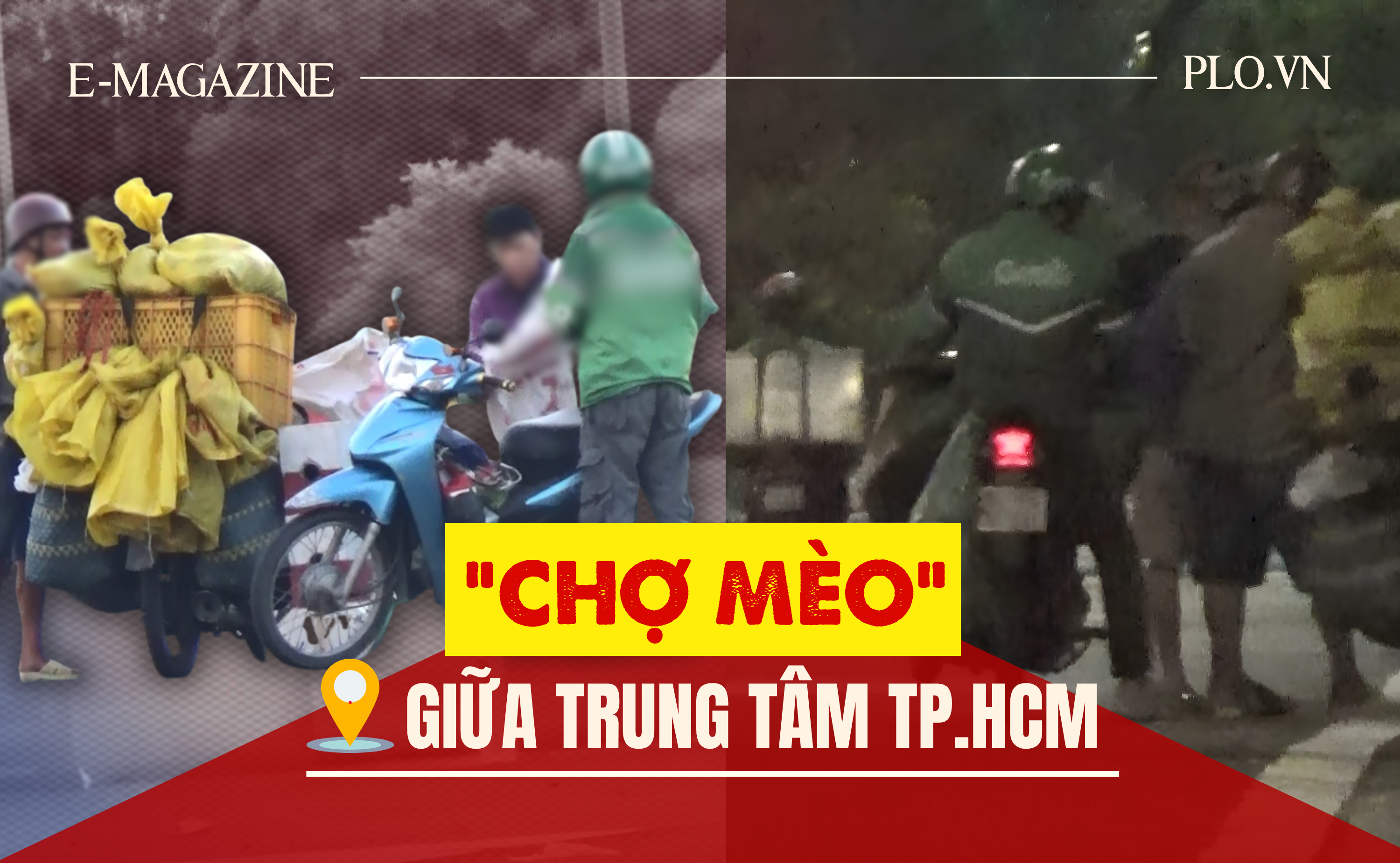 Read more about the article Thâm nhập đường dây ‘mèo tặc’ – Bài 2: Theo dấu những phi vụ mua – bán khó tin