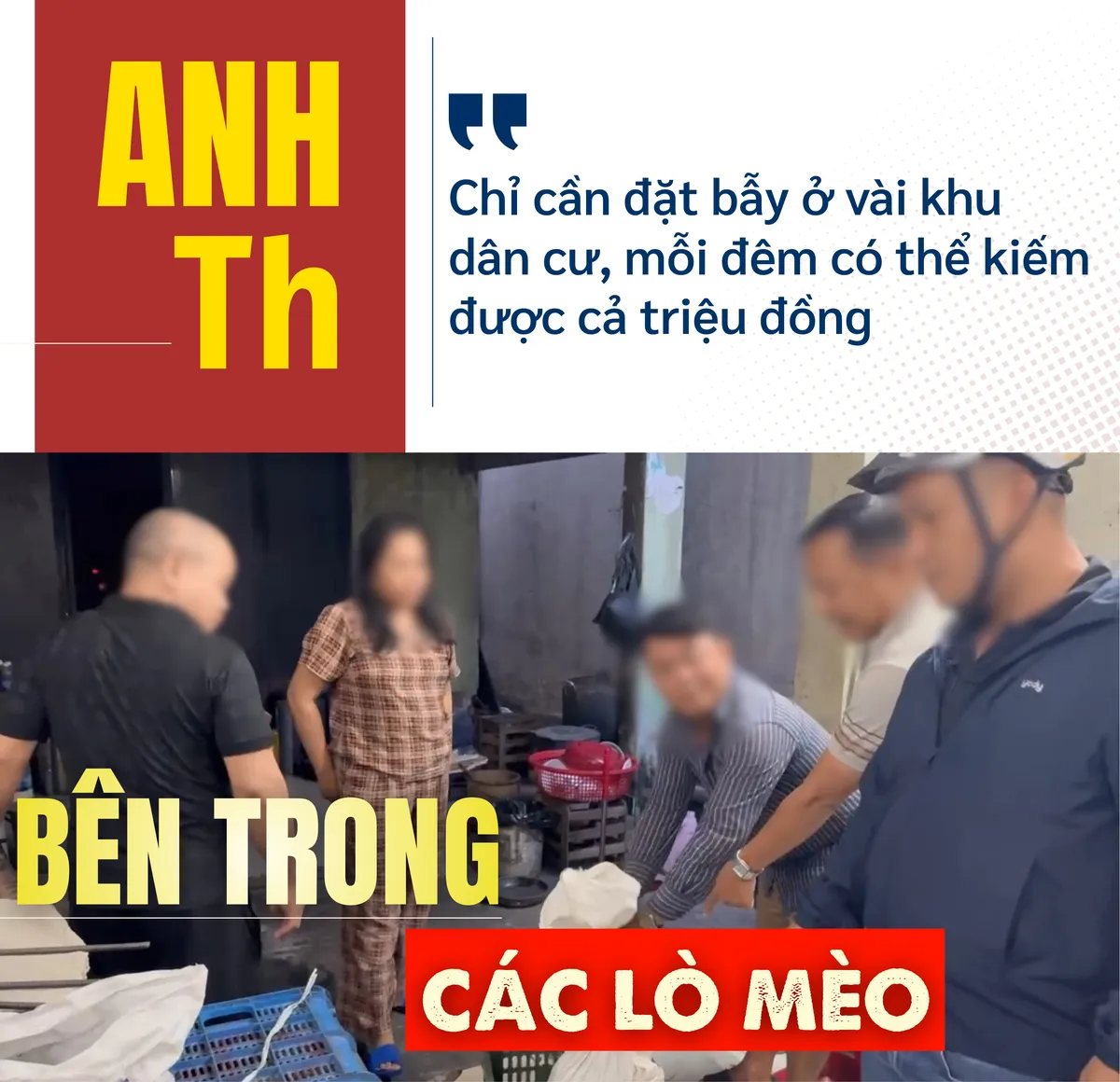 mèo tặc (2).png